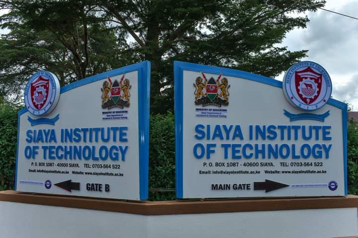 Siaya Institute