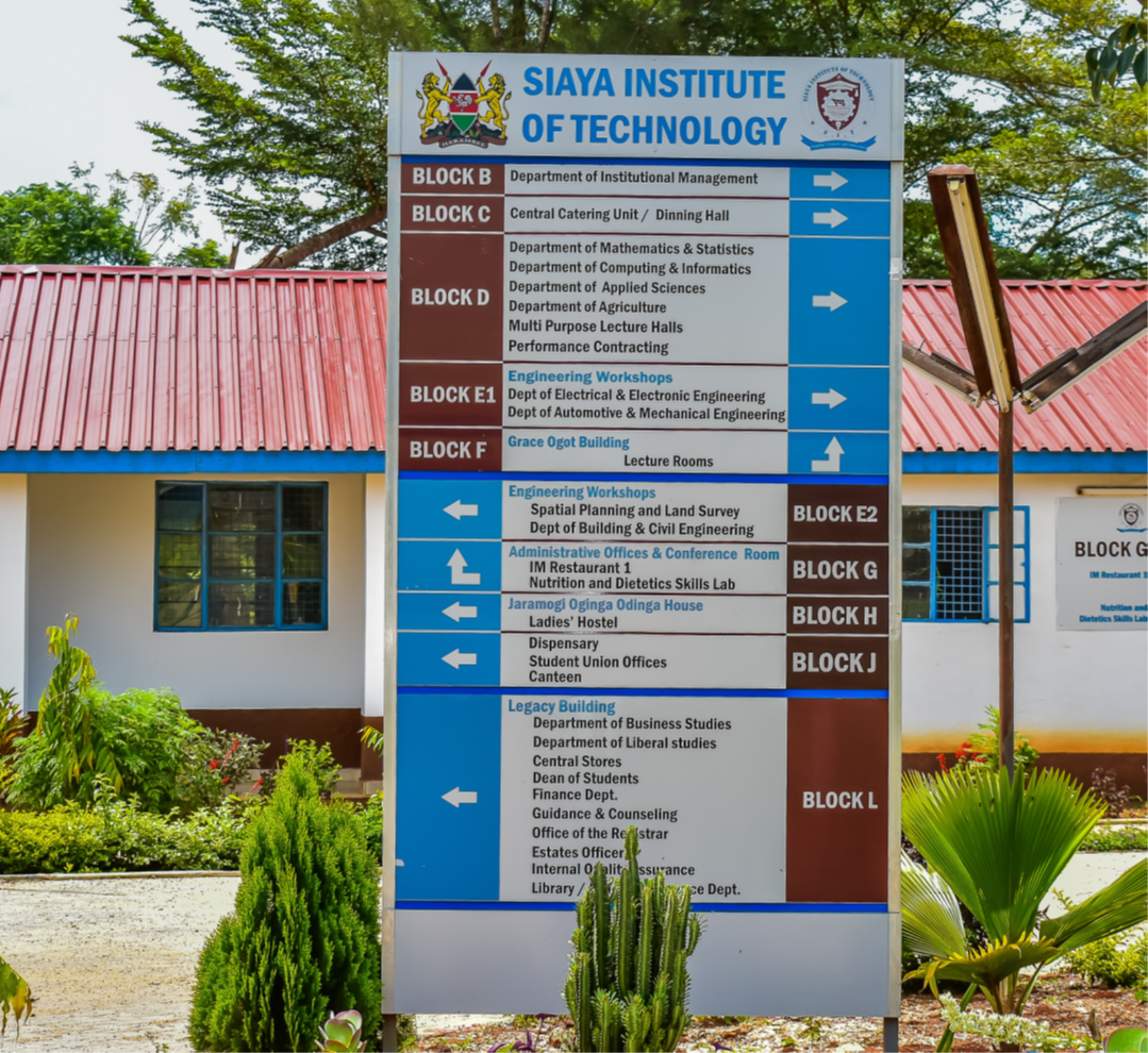 Siaya Institute